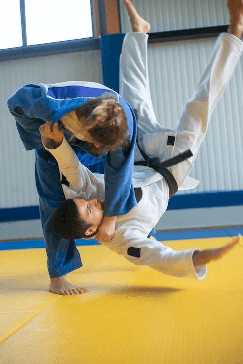 Judo throw